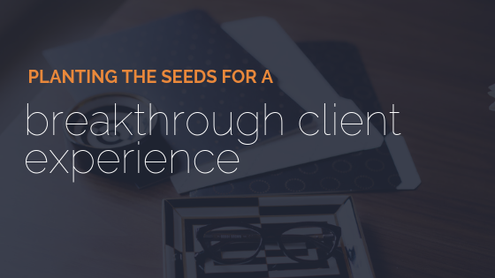 Planting The Seeds For A Breakthrough Client Experience